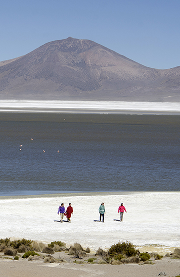 Monumento natural Salar de Surire