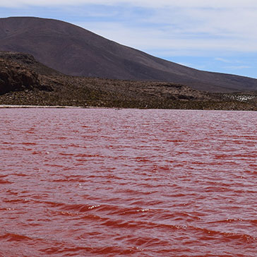Laguna Roja